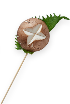 しいたけ